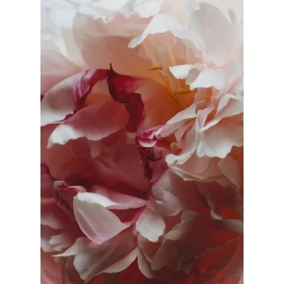 Jo Malone Peony & Blush Suede Scent Surround Diffuser 165ml Jo Malone Peony & Blush Suede Scent Surround Diffuser 165ml